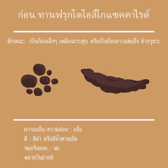 อาหารที่มีพรีไบโอติก อุจจาระบอกสุขภาพลำไส้ได้