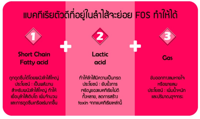 แบคทีเรียตัวร้ายในลำไส้